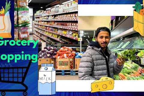 GROCERY SHOPPING IN CANADA 2022 | INTERNATIONAL STUDENTS IN CANADA | CANADA VLOG | FRESHCO | #video