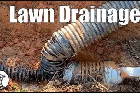 SOLVED: Lawn Drainage Issue - Wet Lawn