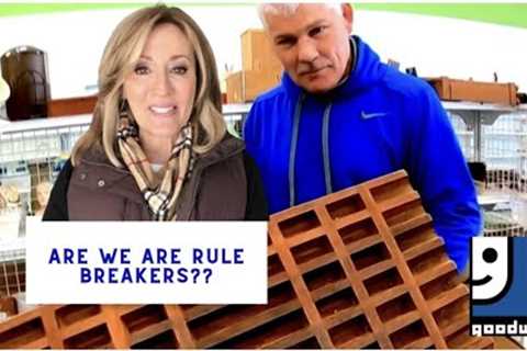 Do Goodwill thrift stores force us to break the rules? Shop with us!