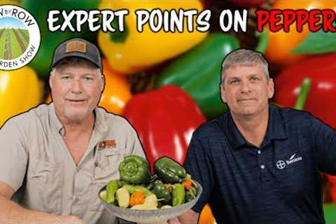 Expert Pepper Gardening Tips