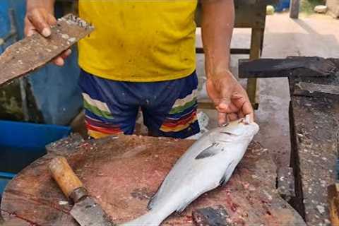 Amazing !!! Gaint Worl Big Tuna Fish Cutting | Amazing Cutting Skill By Fisherman | Big Fish In Sea
