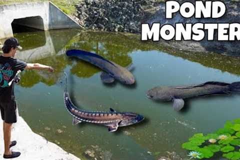 I Found a POND MONSTER Living in this Lake!!