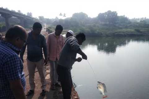 Tilapia Fishing Technique🎣| Fishing 2022 Tilapia Fish | AmazingTilapia Fish Catching🐟Unique