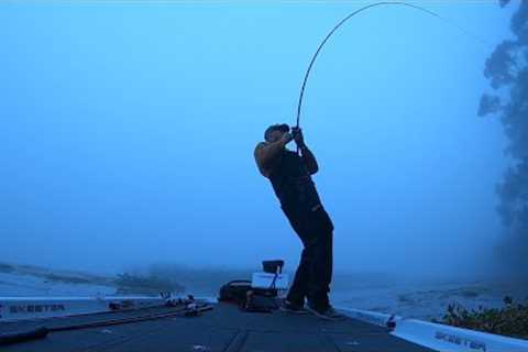 Dangerous Fog and Big Bass CA Delta
