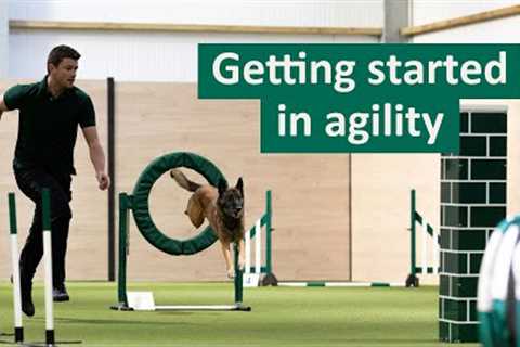 How to get started in Dog Agility | Dog Tips and Tricks