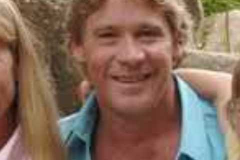 #shorts We Didn't Foresee Steve Irwin's Sad Demise #SteveIrwin
