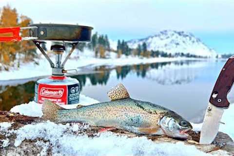 WINTER TROUT Fishing in REMOTE Mountain Lakes!!! (SOLO Catch &amp; Cook)