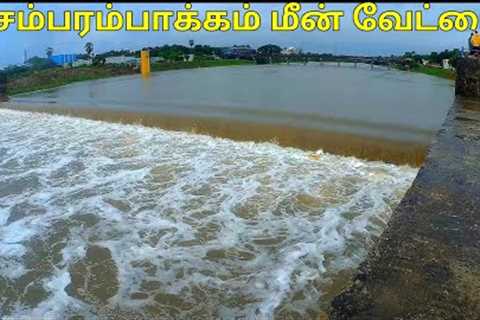 🎣🐟🛑Red Alert | 🌧️Chennai Rains | Chembarambakkam Lake opened | Fish Hunting |@Chennai Fishing..
