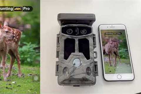 How TC07 trail camera works