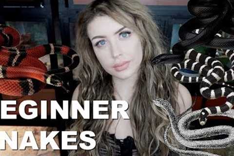 All of the BEST Beginner Snakes (No, Not Ball Pythons)