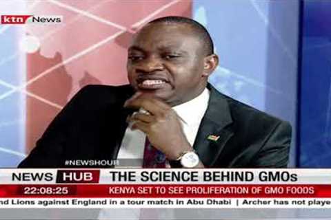Forget the politics, here is the science behind GMOs