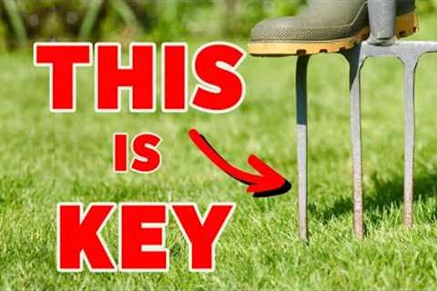 This ONE small thing WILL make a BIG difference to your lawn this winter