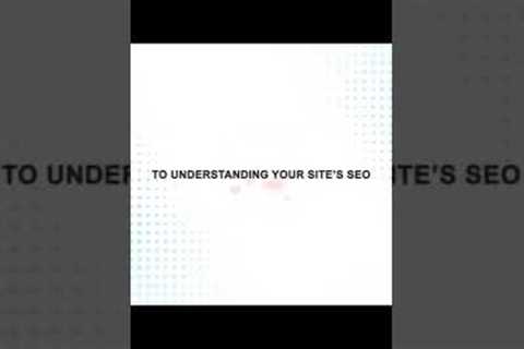 Best SEO Tips &amp; Tricks and You got traffic in your website ✨