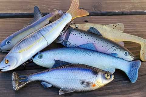 How To Catch Bass In Winter: Swimbait Tips For Cold Water Bass Fishing