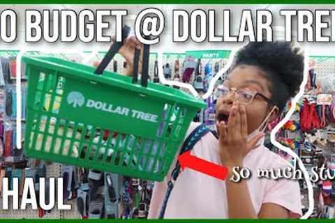 DOLLAR TREE NO BUDGET SHOPPING SPREE! | + BIG DOLLAR TREE HAUL