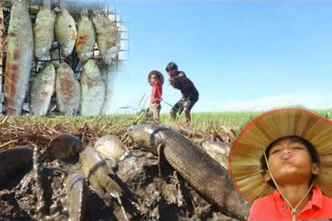 Catch fish and cooking fish recipe -Eating deliciuos