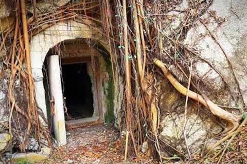 Animal Attack in Abandoned Military Bunkers and Tunnels