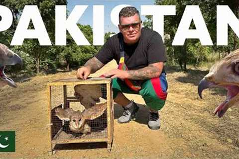 I Bought Exotic Birds from the Pet Market to set them FREE! 🇵🇰