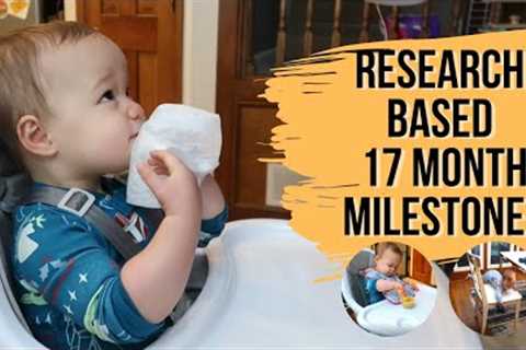 17 MONTH OLD DEVELOPMENT ACTIVITIES | Research-Based Milestones for Your Toddler