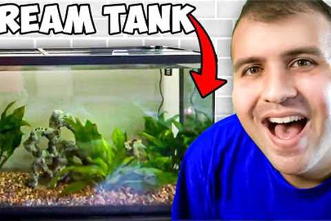 DREAM 60 Gallon FISH AQUARIUM is FINISHED!! (Freshwater Fish Tank/ Aquarium Setup 2020)