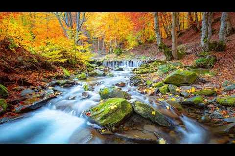 Deep Healing Music, Healing Your Nervous System, Instant Relief from Stress and Anxiety, Calm Nature