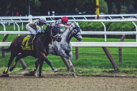 What is the difference between gambling and betting?