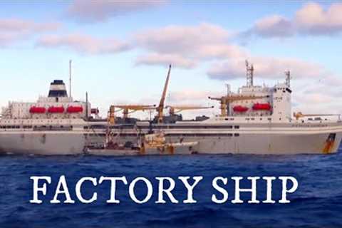 Largest Fish Factory Vessel. Episode 1 | Documentary | Science Channel