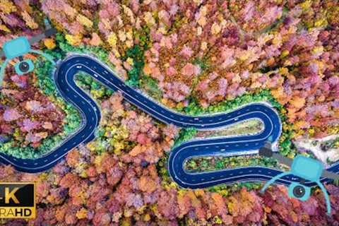 4K Drone Footage   Nature Bird's Eye View | View from above