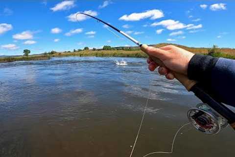 Fly Fishing in New South Wales for Brown and Rainbow Trout!