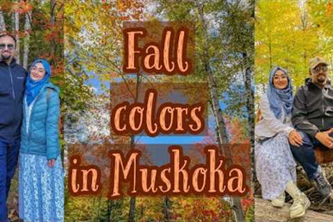 Enjoying Magical Fall in Muskoka | Fall in Canada | Pakistanis Enjoying Fall in Canada