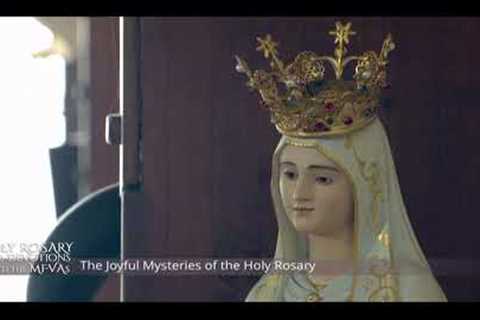 Catholic Daily Mass - Daily TV Mass - November 26, 2022