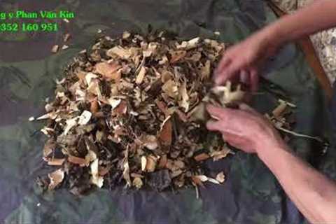 Traditional Chinese medicine for kidney disease of Luong Y