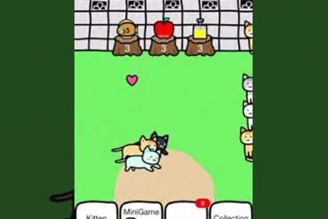 Play with cats [ outside&amp;kitten room] Game app part 1