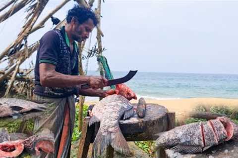 You Never Seen !!! World Giant Fish Cutting Live In Fish Market | Fish Cutting Skills Live Video