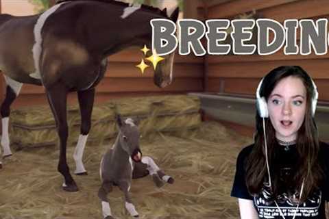BREEDING THE BEST AND MOST BEAUTIFUL HORSES #1 - Rival Stars Horse Racing | Pinehaven