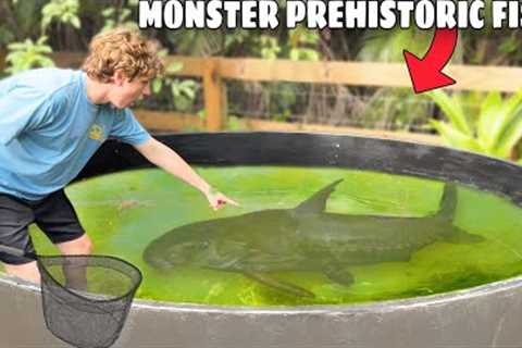 I Found a PREHISTORIC MONSTER in My POND!