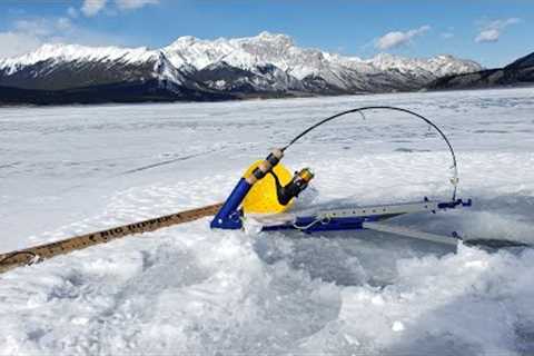 Lake trout swallow - Take a kid fishing - Canadian moutain man