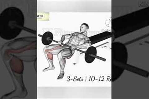 Most Effective Legs Workout | You Should Know | IK Fitness Gym