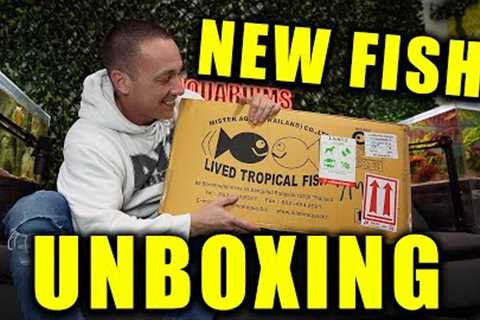 UNBOXING THE NEW FISH (not good) And some fish store shopping!