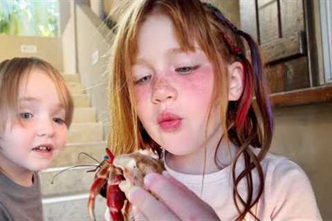 SURPRiSE CRAB and Beach Birthday Party!!  Adley &amp; Niko find animals! our last day of family..