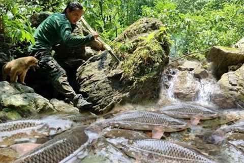 Survival skills, catching stream fish at night, survival alone, survival instincts