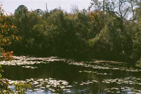 There are two botanical gardens in Florida that you should visit