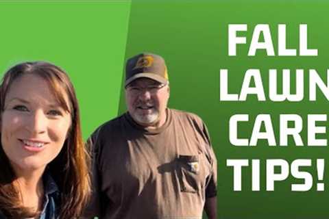 Fall Lawn Care Tips MN