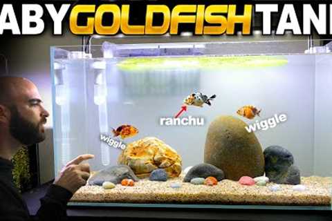 I made a BABY RANCHU goldfish aquarium (wiggle bum fish!)