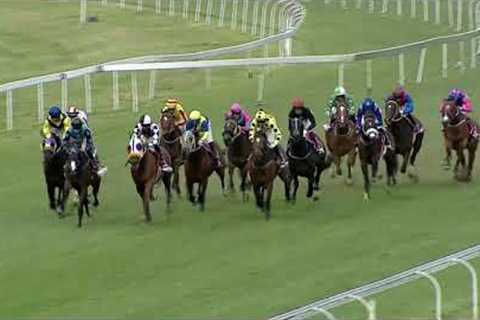 UNION SQUARE - RACE 6 #turffontein 26-11-2022
