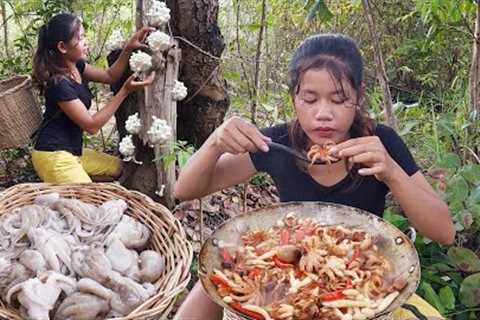 Mushroom curry spicy with Octopus for dinner - Solo cooking in jungle