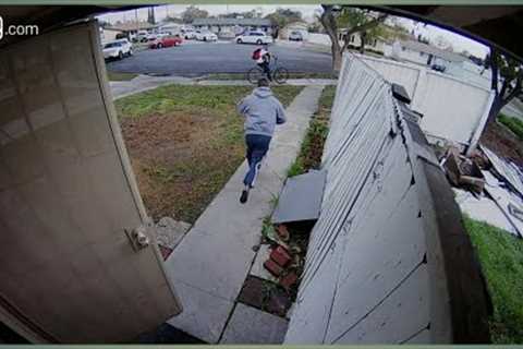 Craziest &amp; Funniest Moments Caught On Ring Home Security Camera