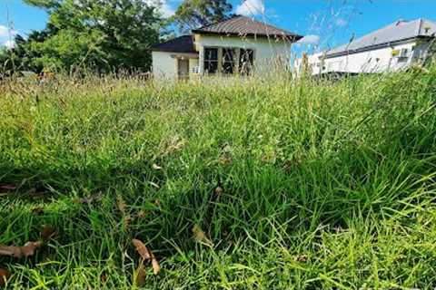 ANGRY Viewer's DEMAND I Mow Neighbours HUGE OVERGROWN Lawn For FREE!