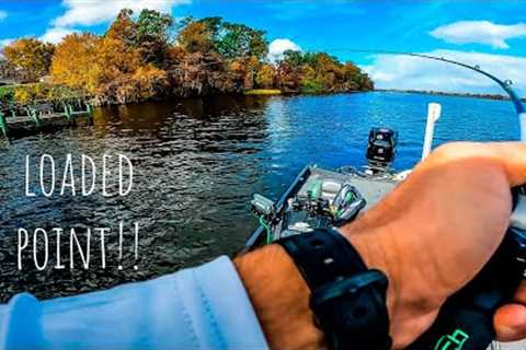 WIND BLOWN Point Was LOADED With AGGRESSIVE FISH!! || Fall Bass Fishing