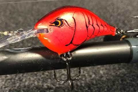 DON'T Go Fishing WITHOUT These 5 LURES In NOVEMBER